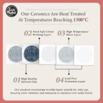 Kataguchi Kyoto Jusau Shikaku Gala Collection